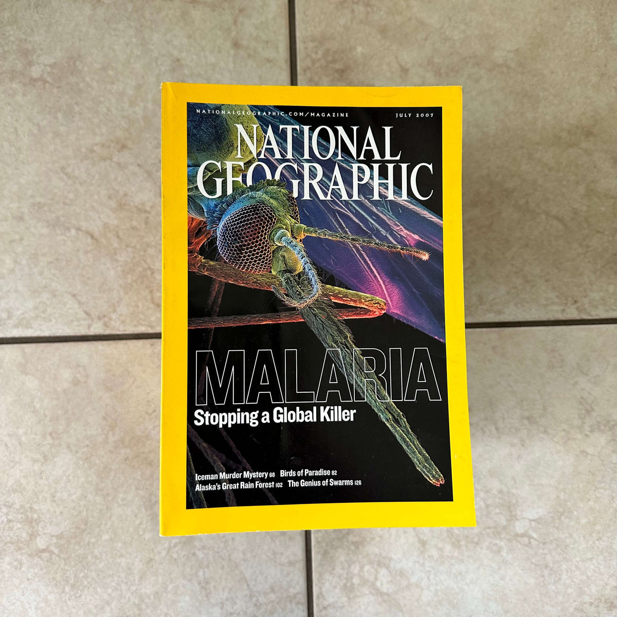 2000s to 2020s National Geographic magazines