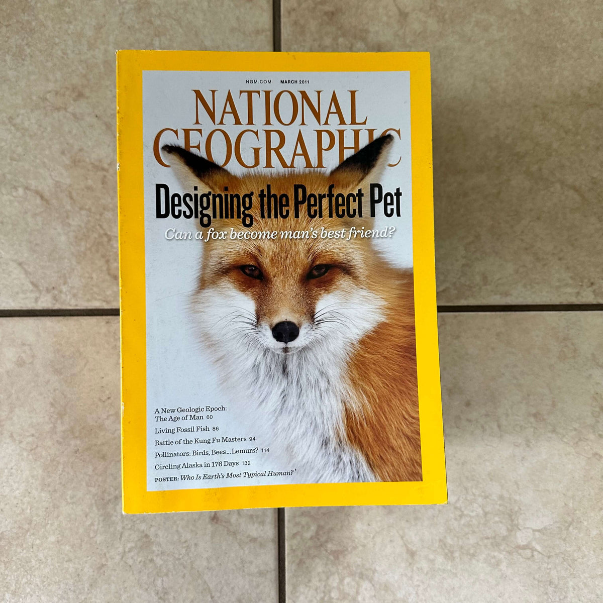 2000s to 2020s National Geographic magazines