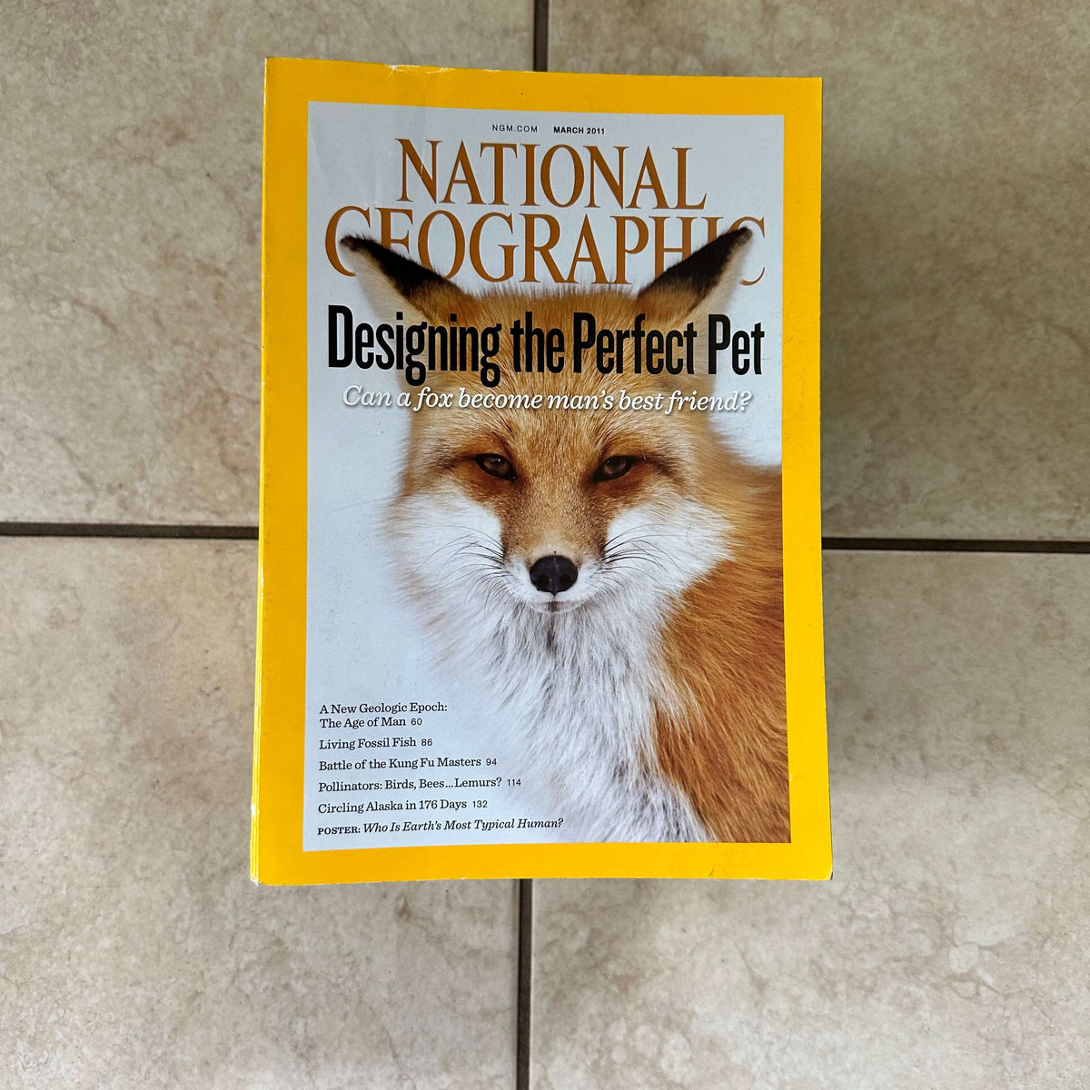 2000s to 2020s National Geographic magazines