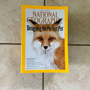 2000s to 2020s National Geographic magazines