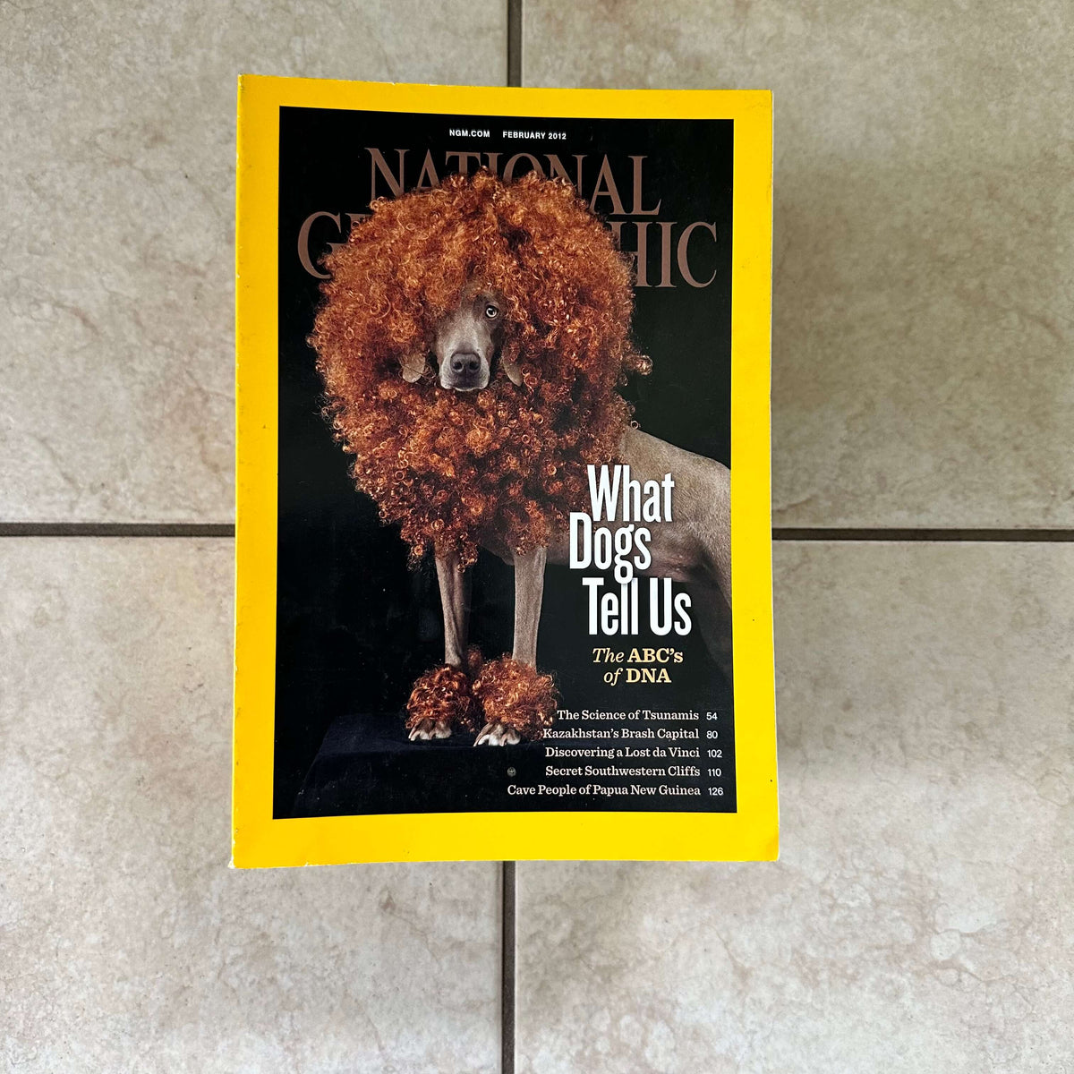 2000s to 2020s National Geographic magazines