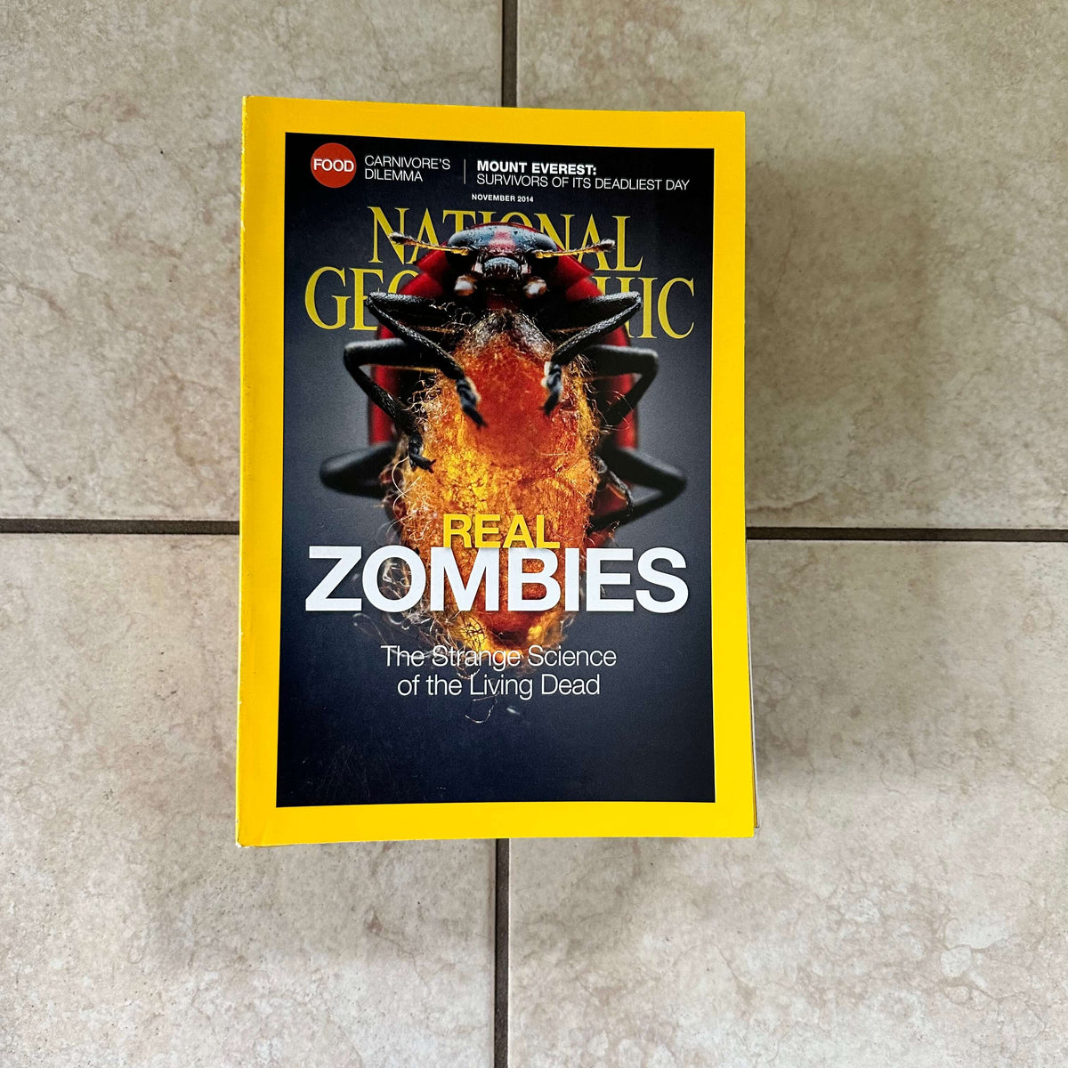 2000s to 2020s National Geographic magazines