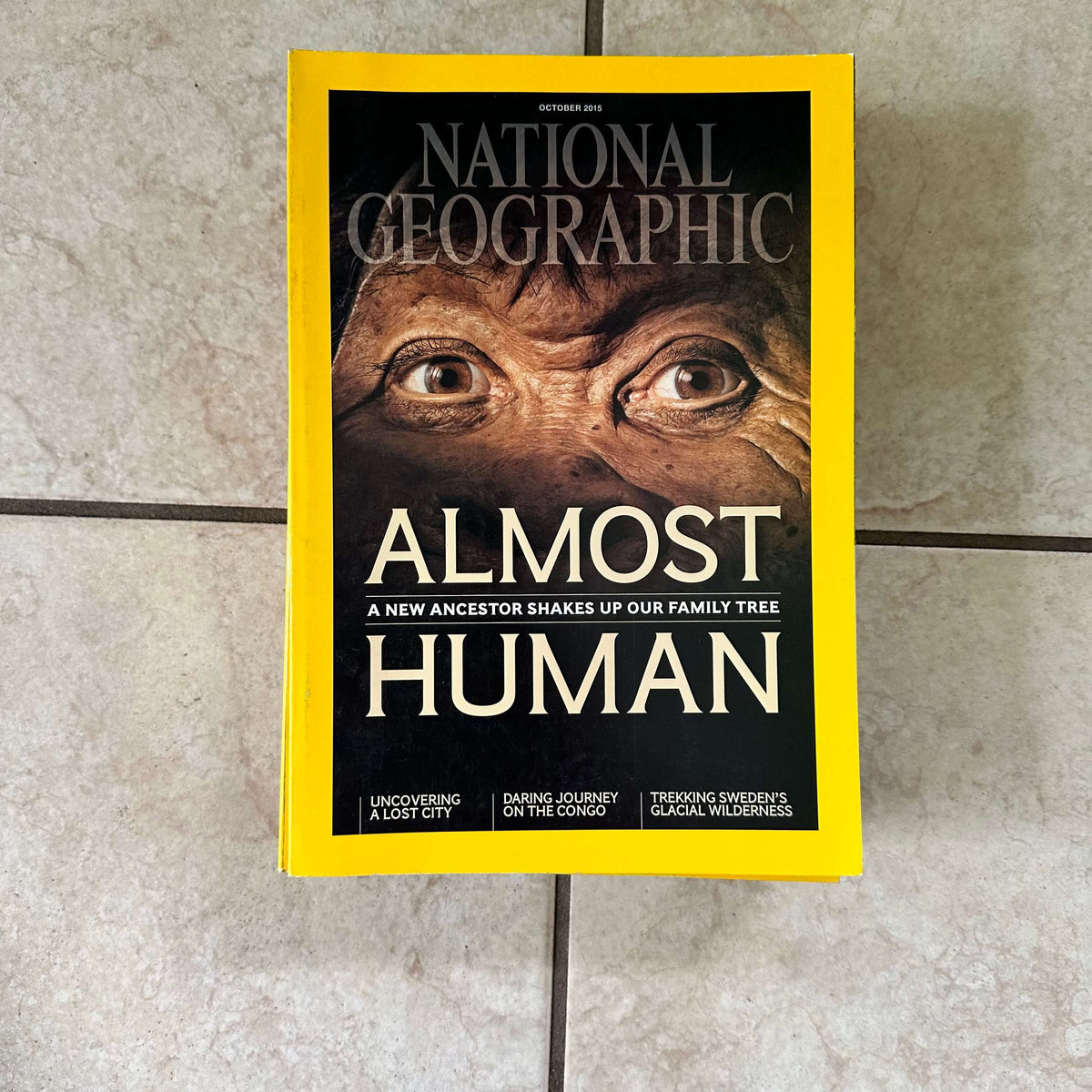 2000s to 2020s National Geographic magazines