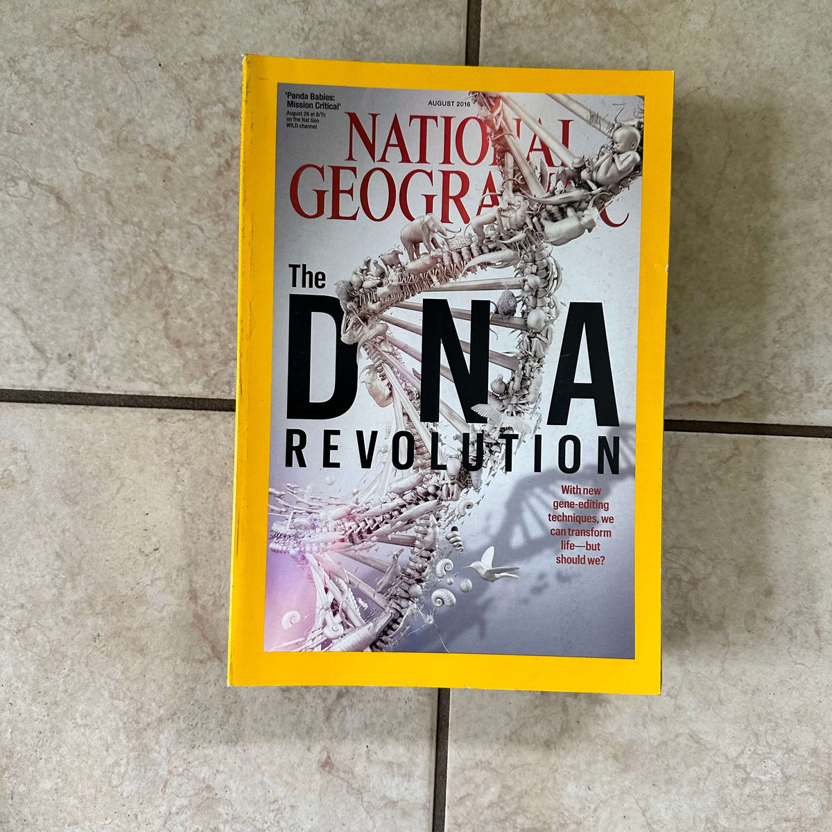 2000s to 2020s National Geographic magazines