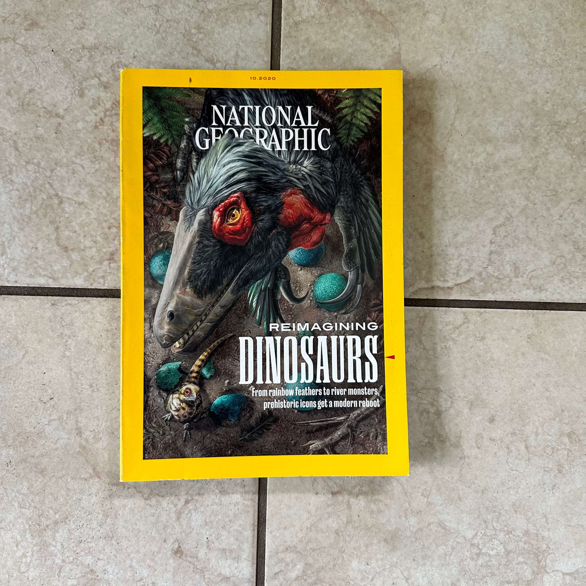 2000s to 2020s National Geographic magazines