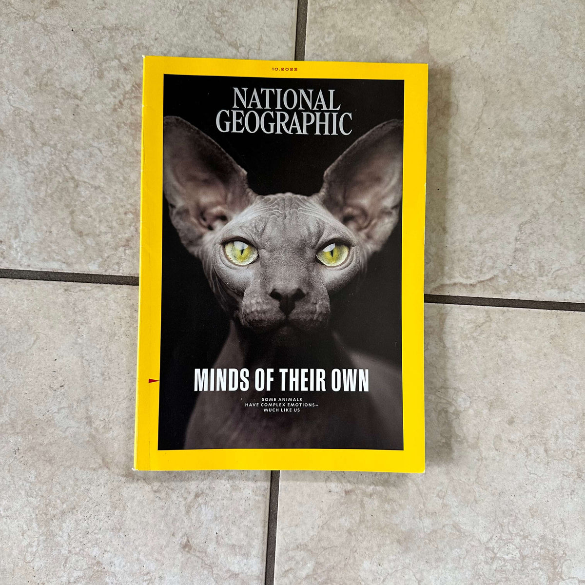 2000s to 2020s National Geographic magazines