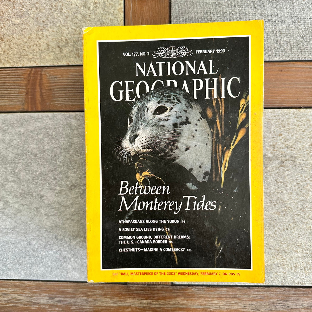 1990s National Geographic magazines