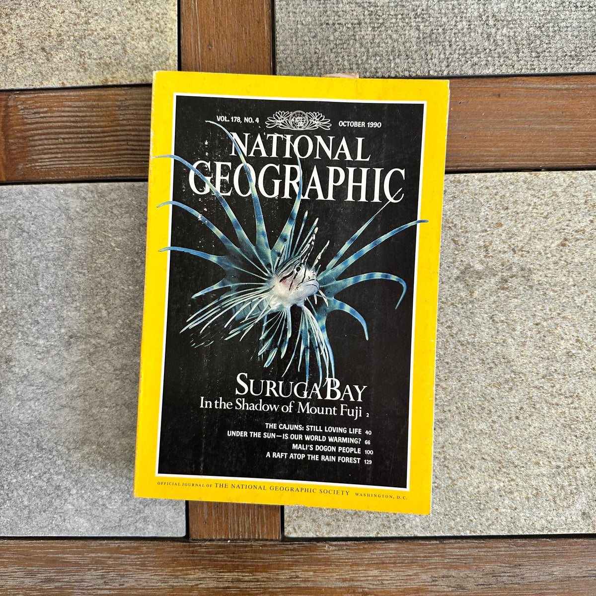 1990s National Geographic magazines