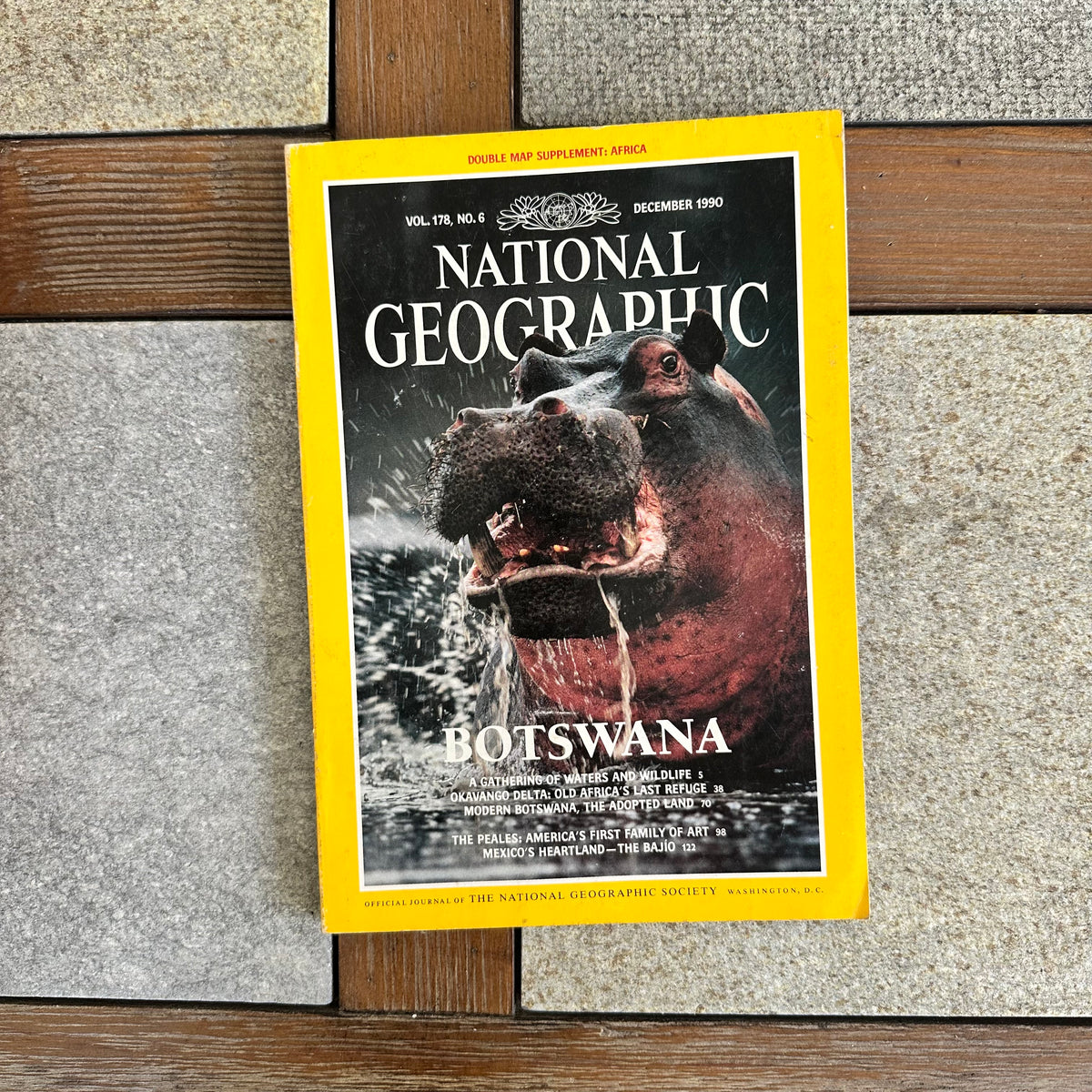 1990s National Geographic magazines