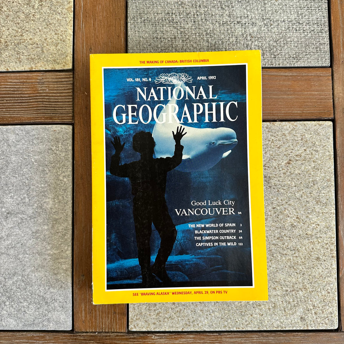 1990s National Geographic magazines