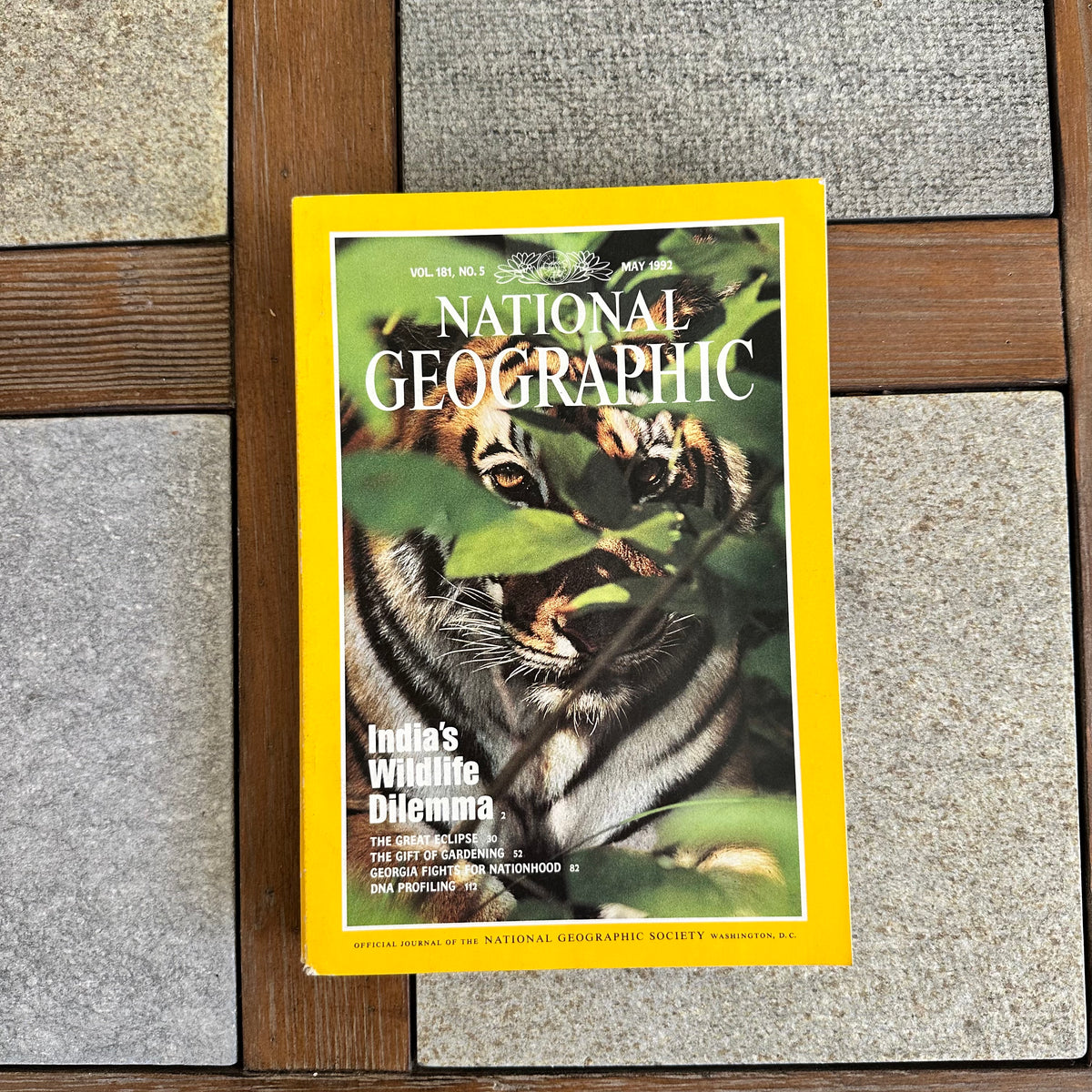 1990s National Geographic magazines