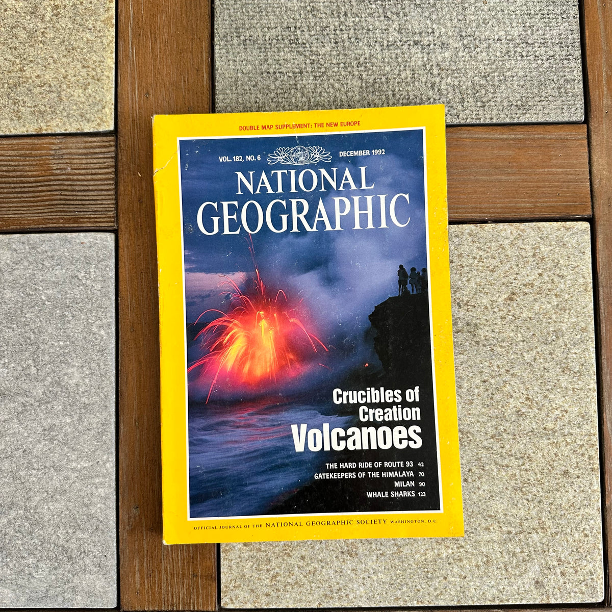 1990s National Geographic magazines