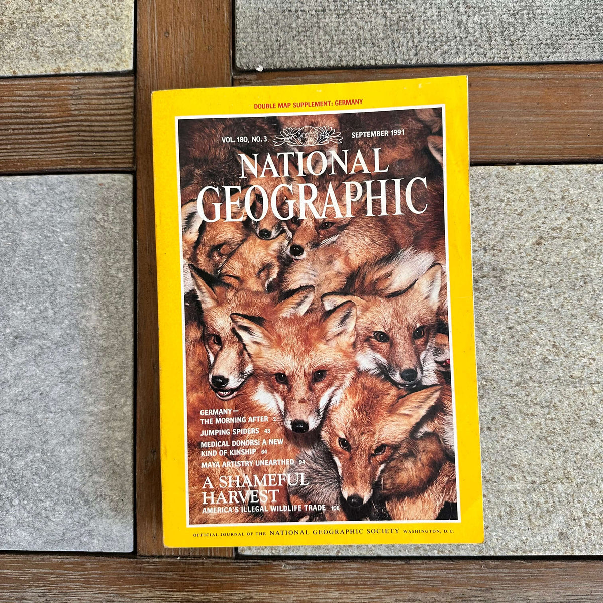 1990s National Geographic magazines