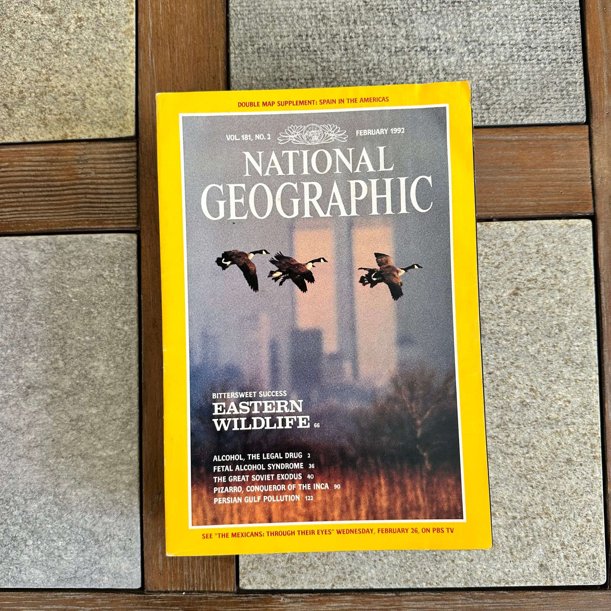 1990s National Geographic magazines