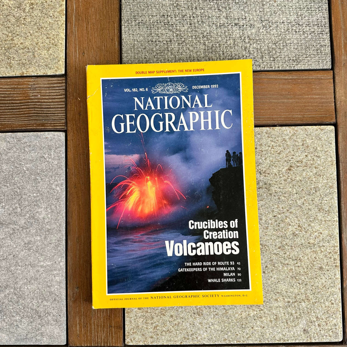 1990s National Geographic magazines