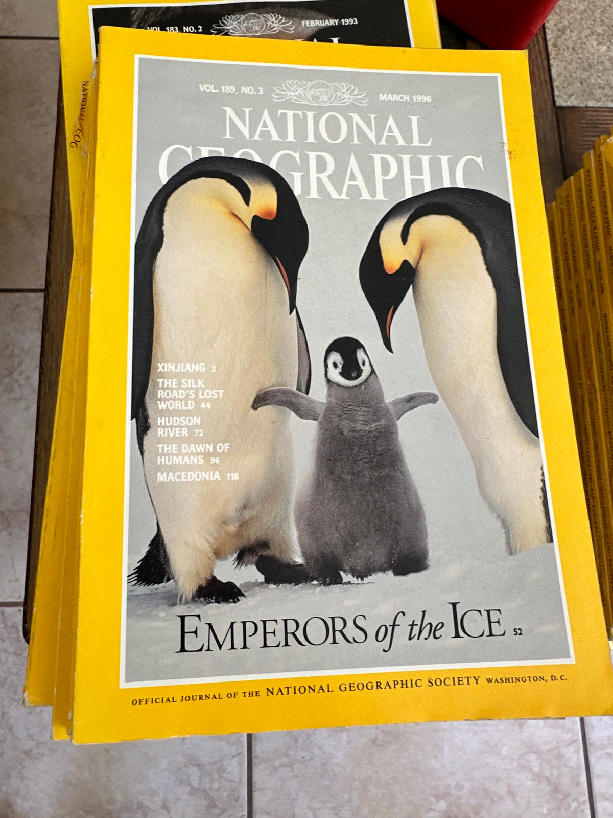 1990s National Geographic magazines