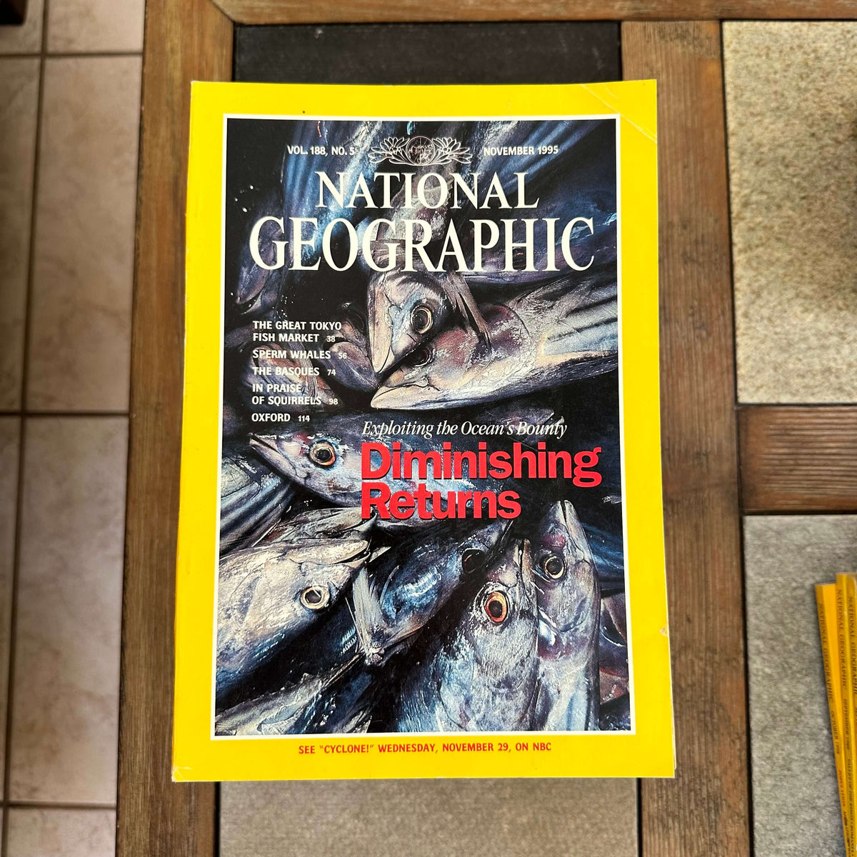 1990s National Geographic magazines