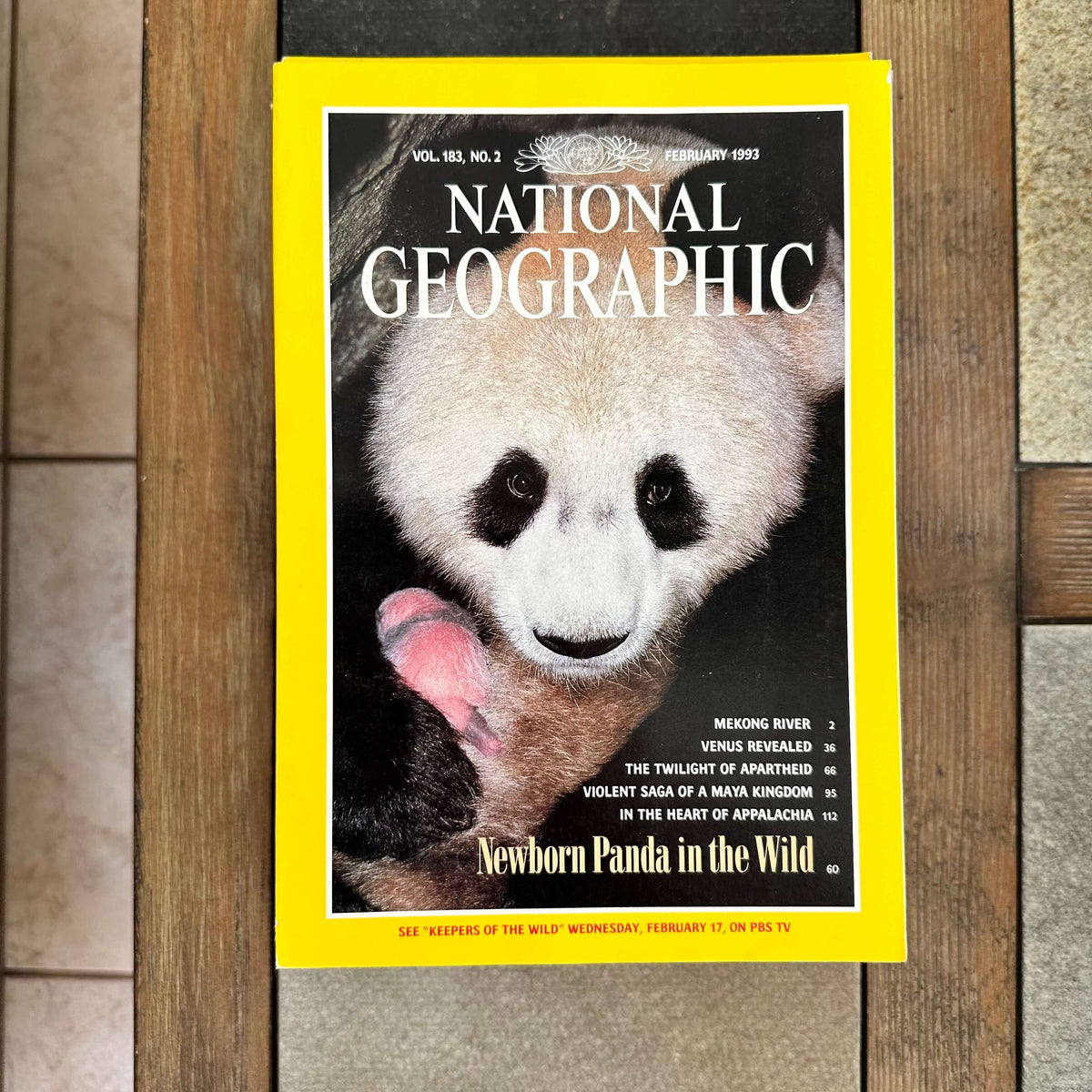1990s National Geographic magazines
