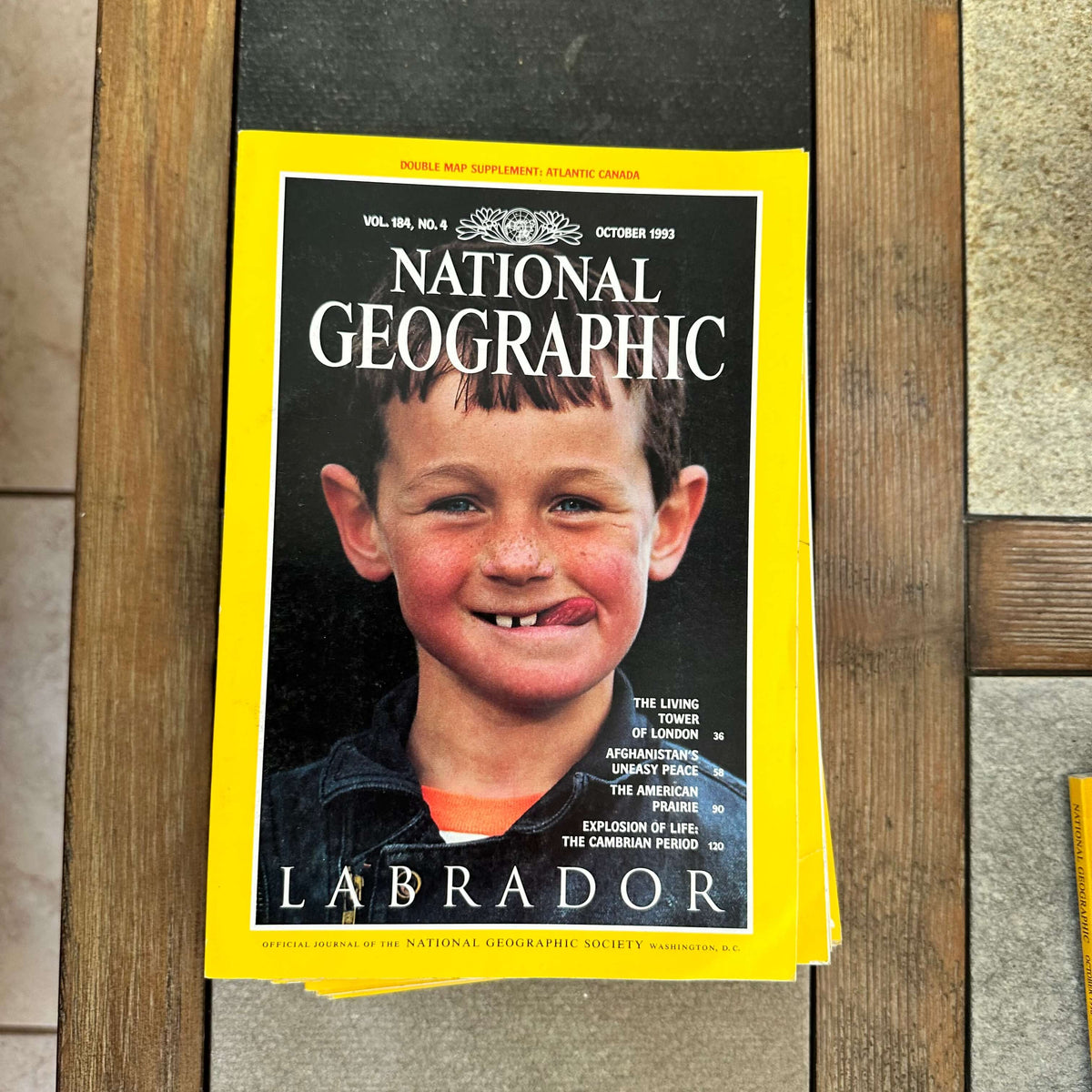 1990s National Geographic magazines