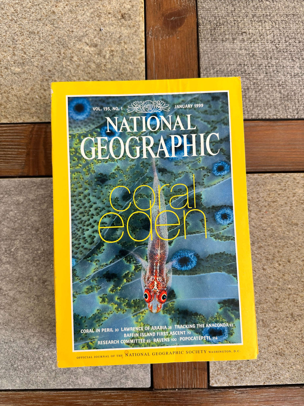 1990s National Geographic magazines