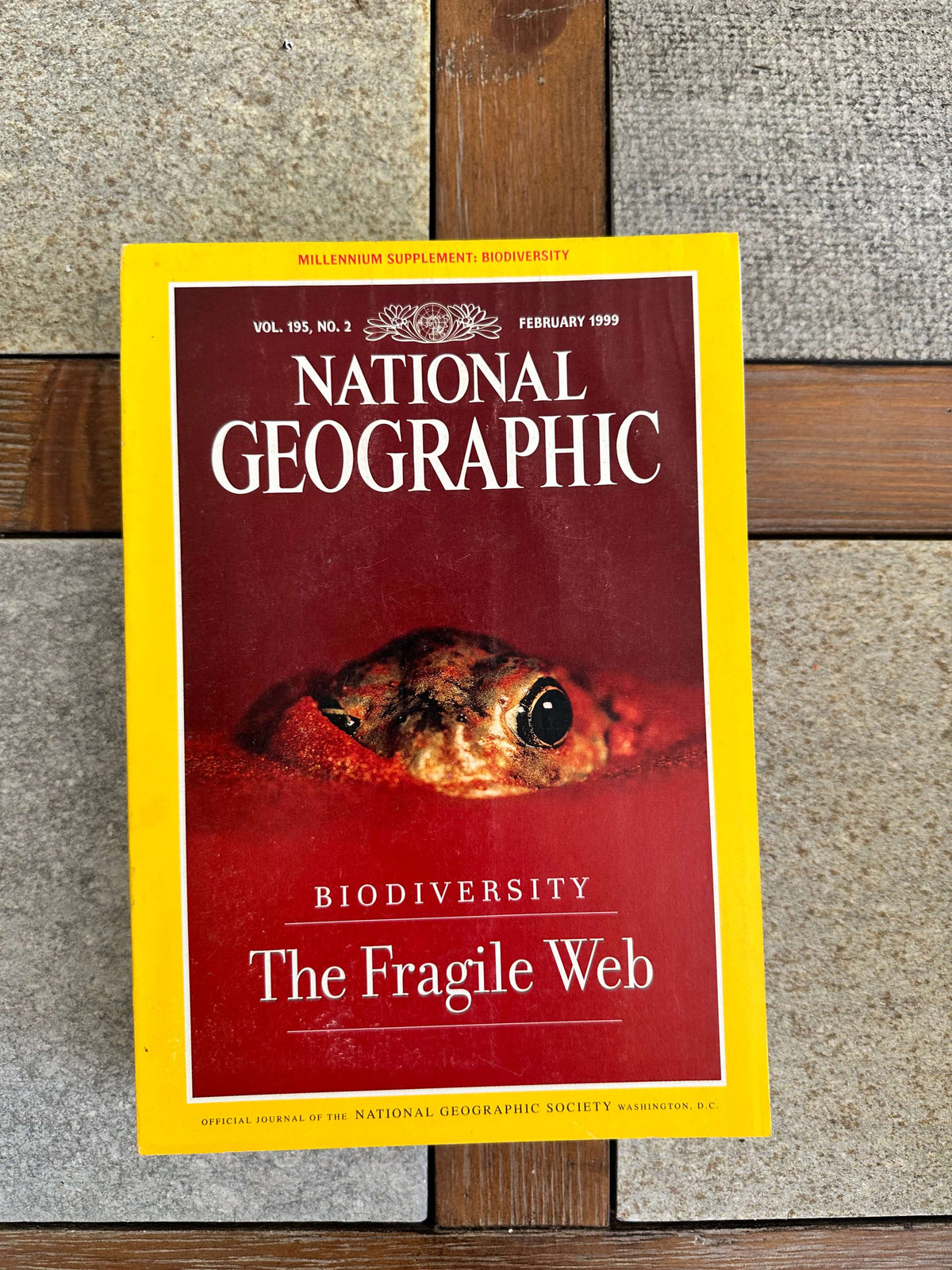 1990s National Geographic magazines