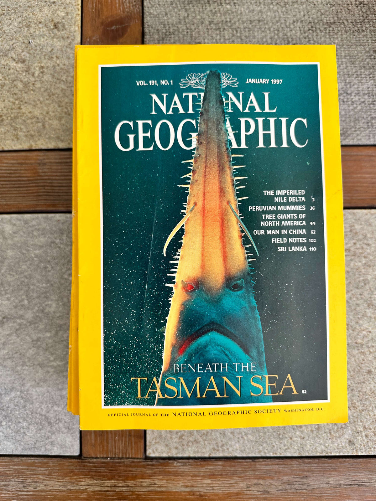 1990s National Geographic magazines