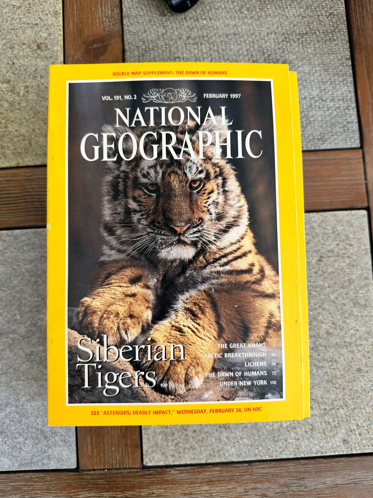 1990s National Geographic magazines