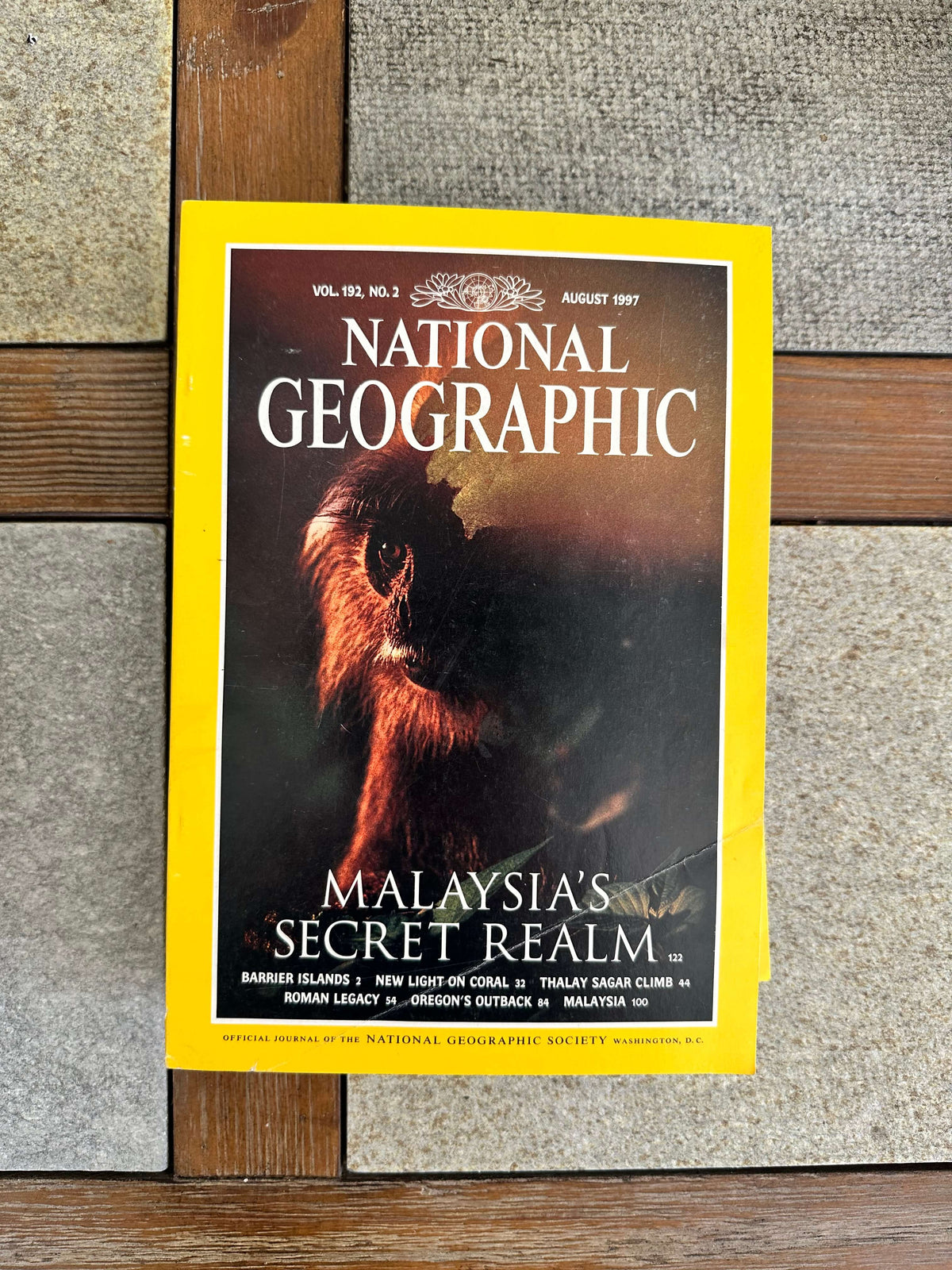 1990s National Geographic magazines