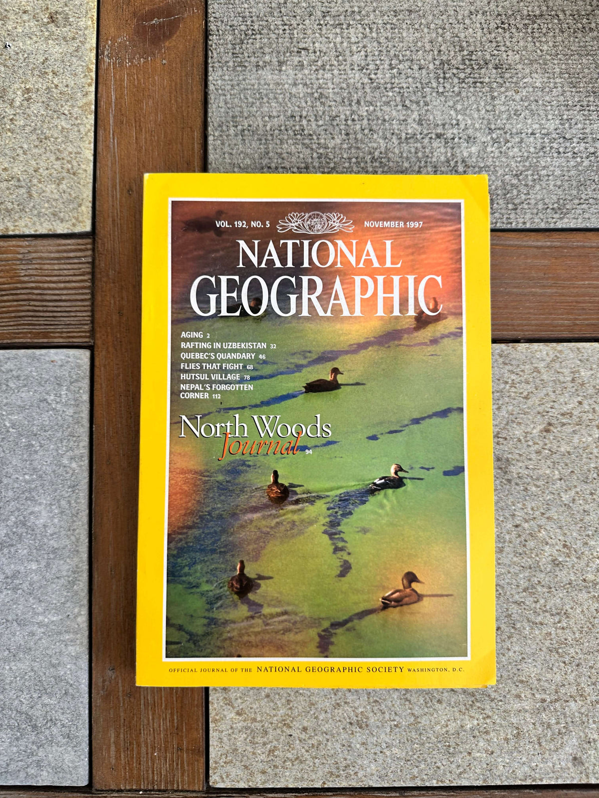 1990s National Geographic magazines