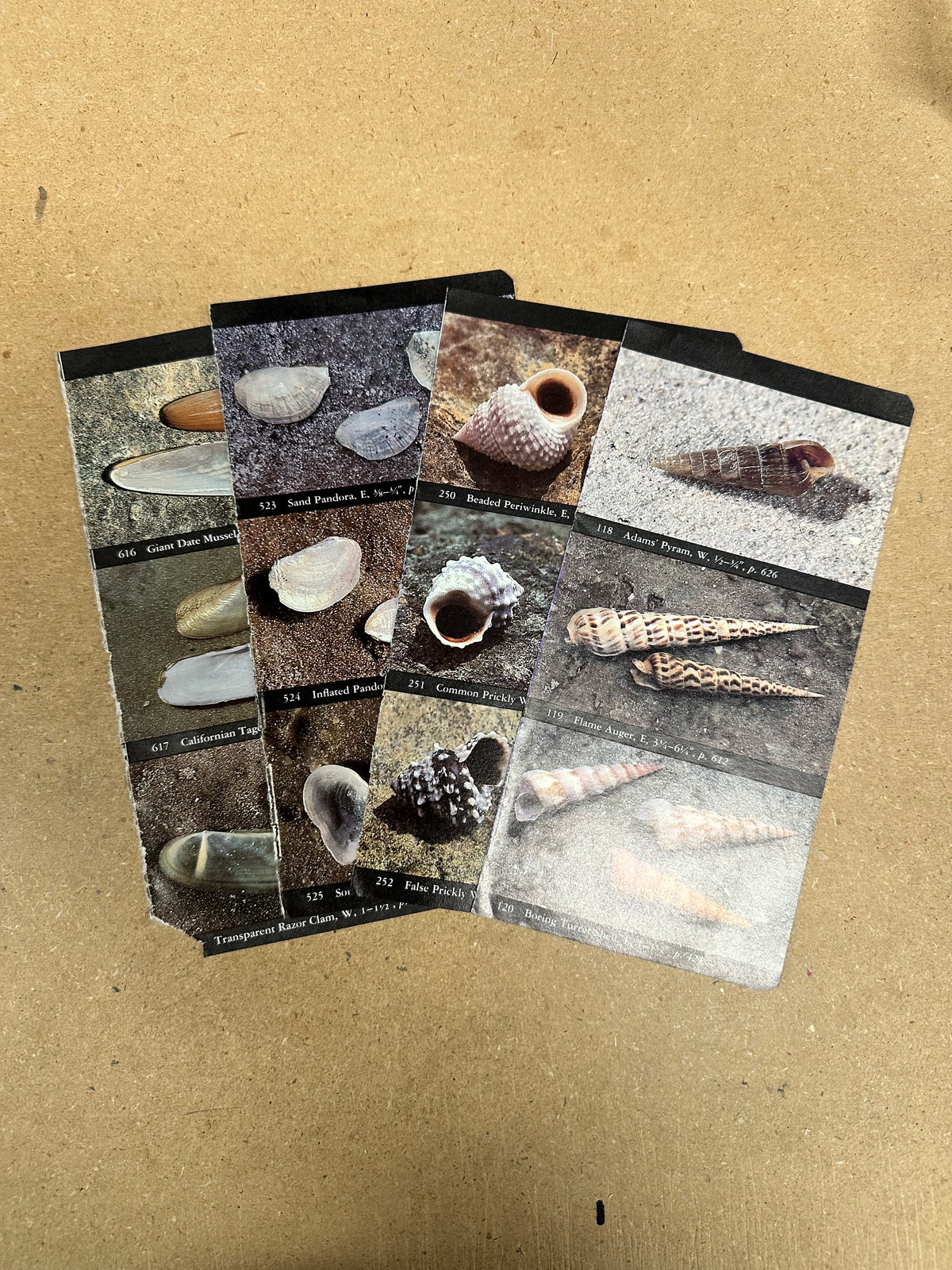 Summertime Junk Journal card kit - July 2024