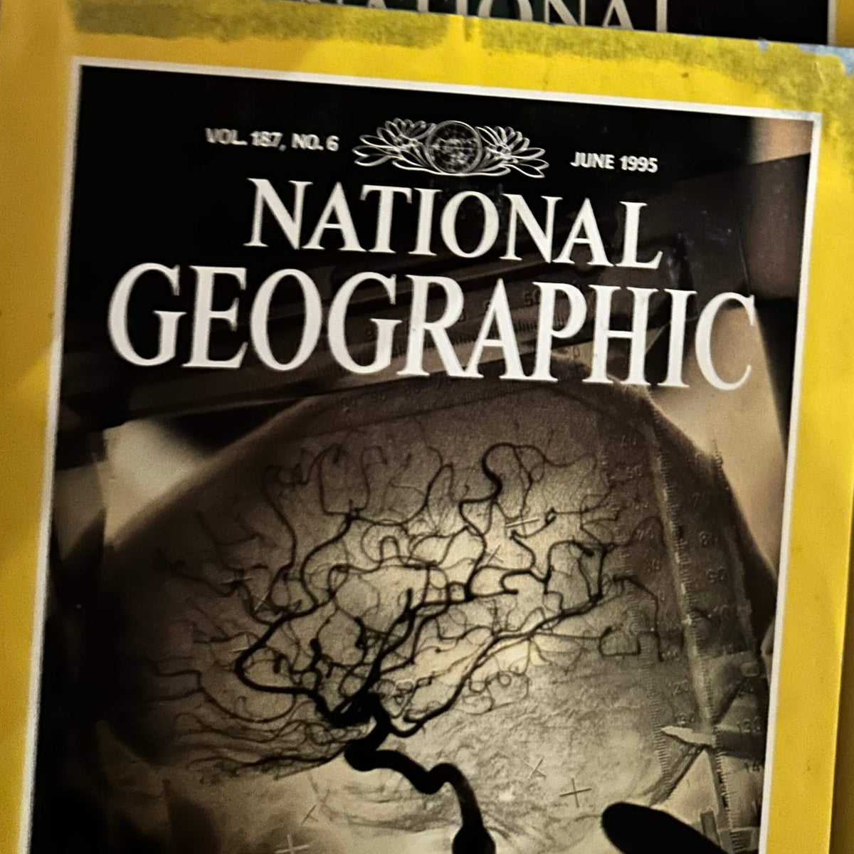 1990s National Geographic magazines