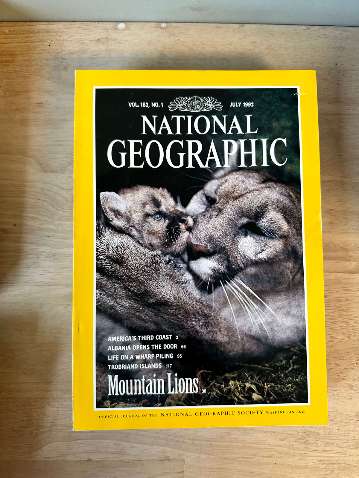 1990s National Geographic magazines