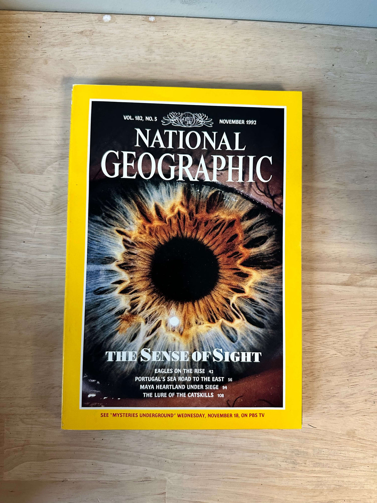 1990s National Geographic magazines
