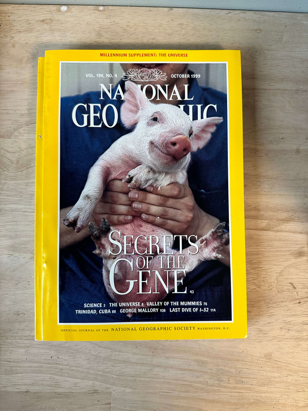 1990s National Geographic magazines
