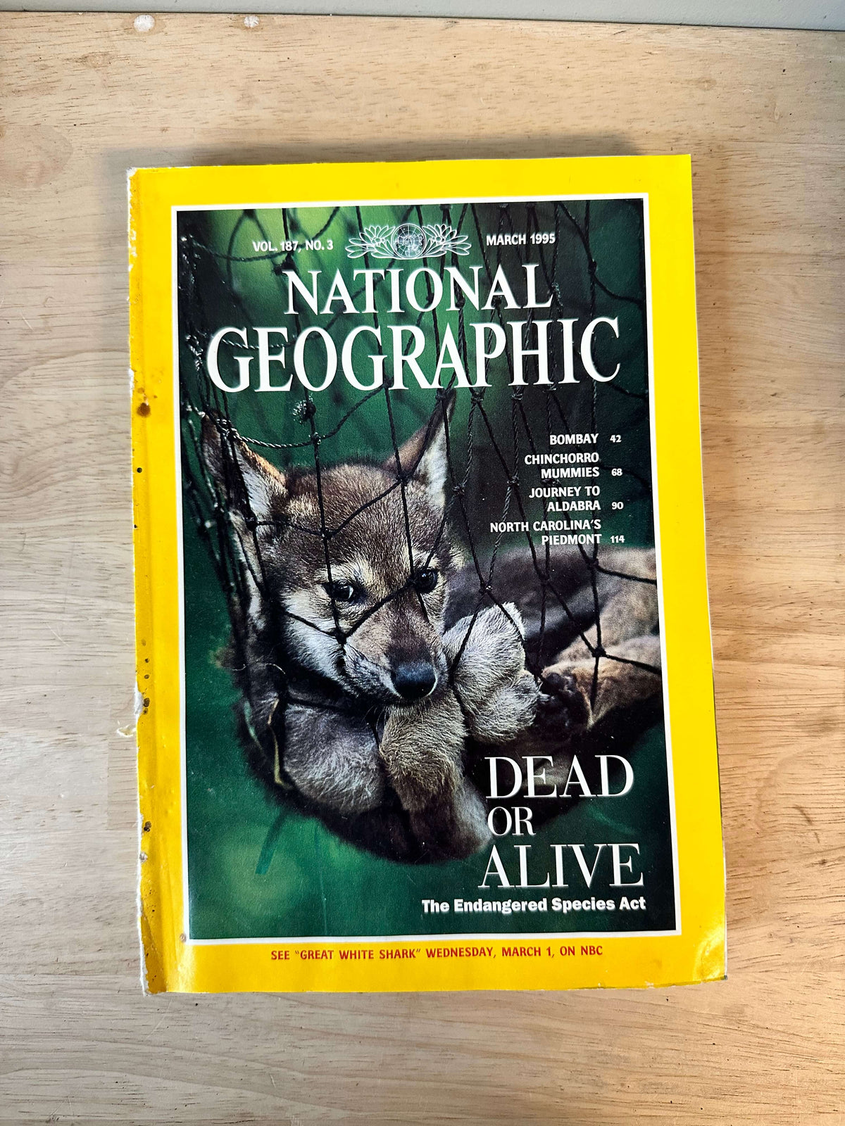 1990s National Geographic magazines