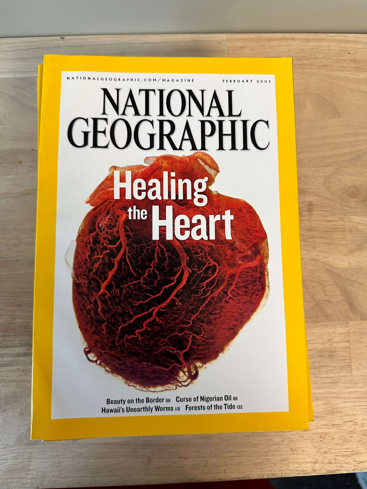 2000s to 2020s National Geographic magazines