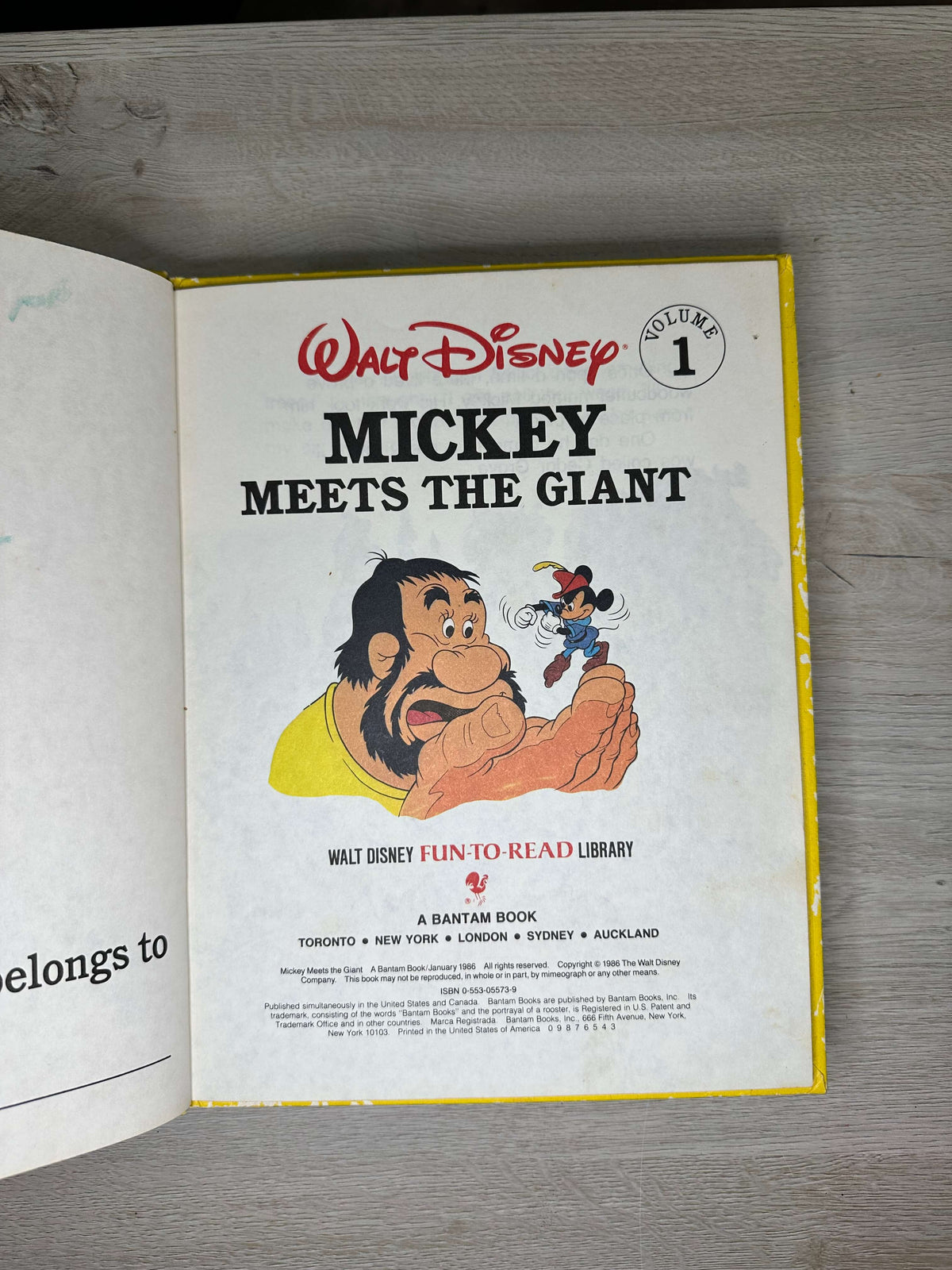 Walt Disney Fun-to-Read Library books