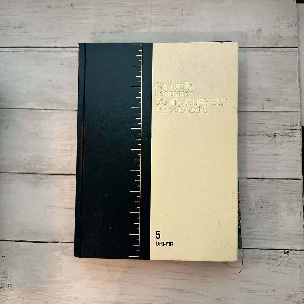 The Family Handyman Do-It-Yourself