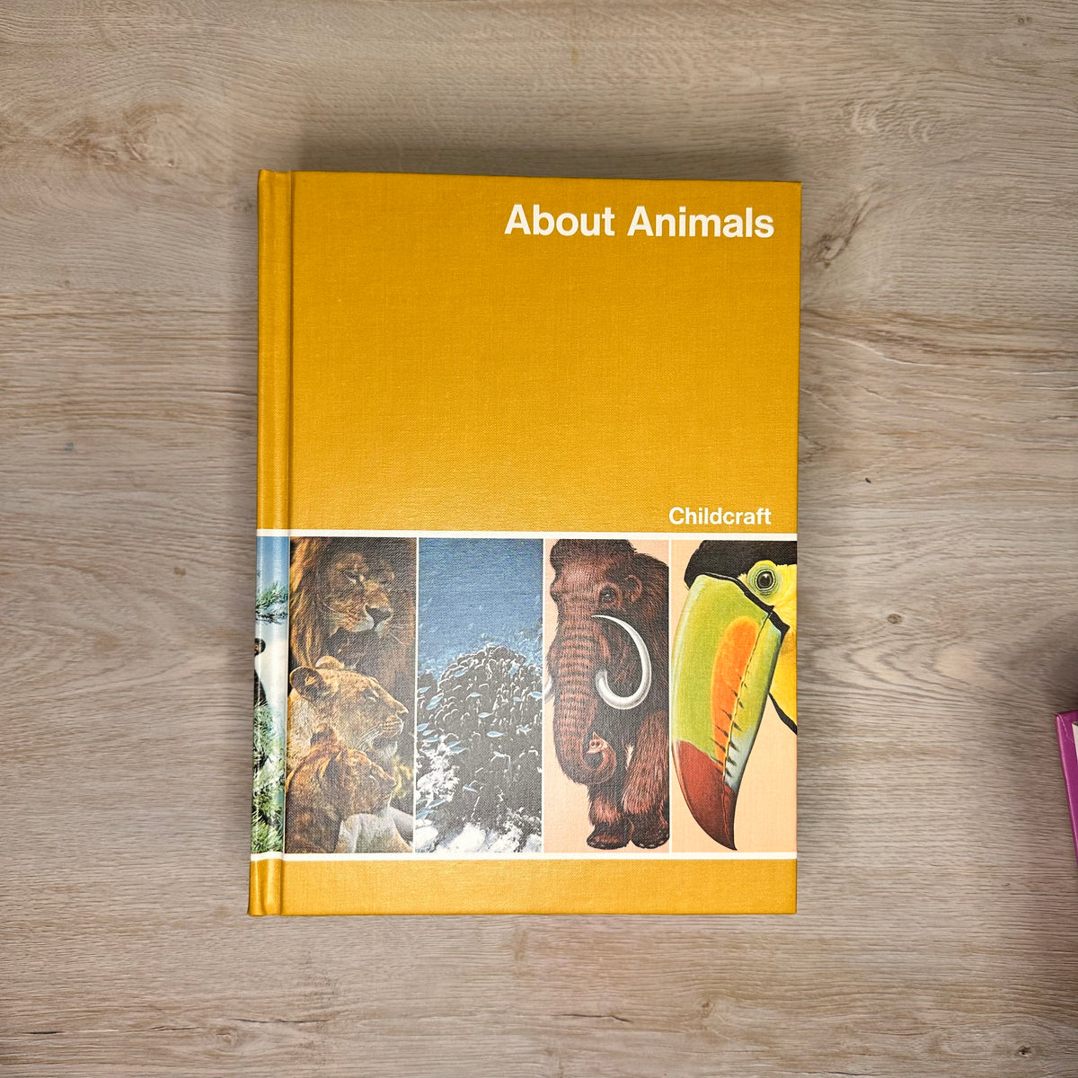 Childcraft The How and Why Library