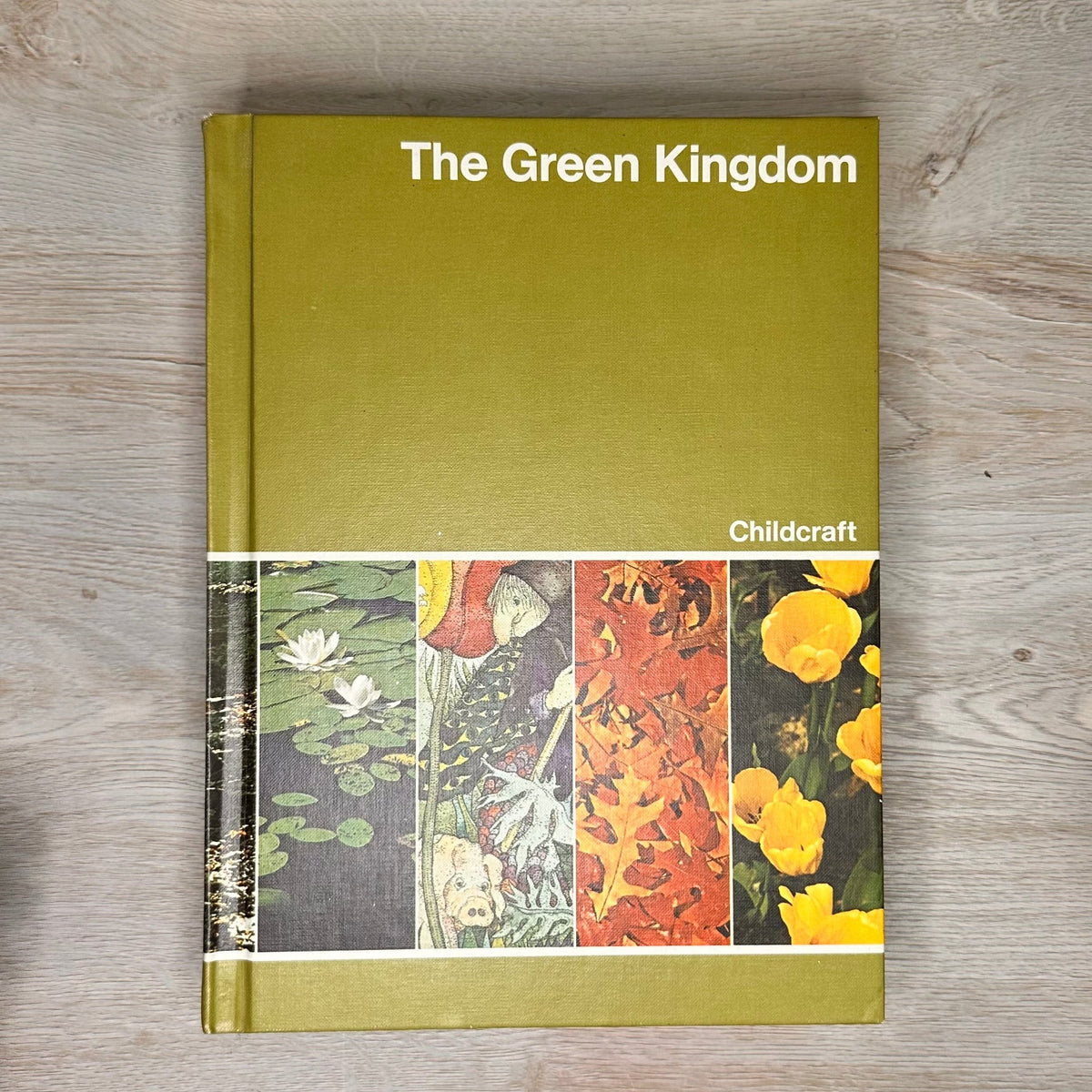 Childcraft The How and Why Library