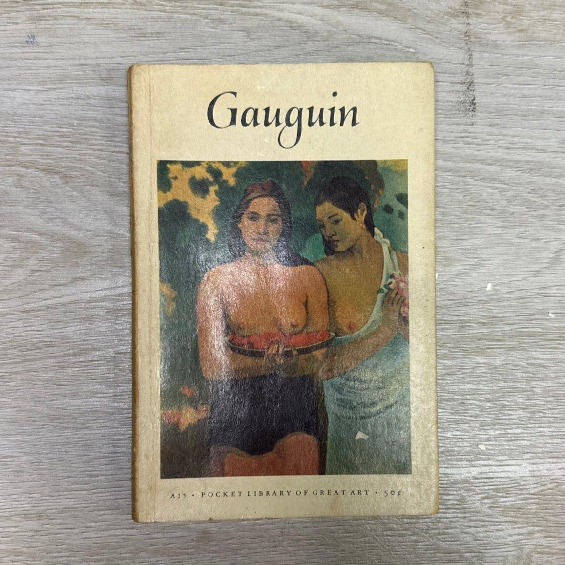 Pocket Library of Great Art Books