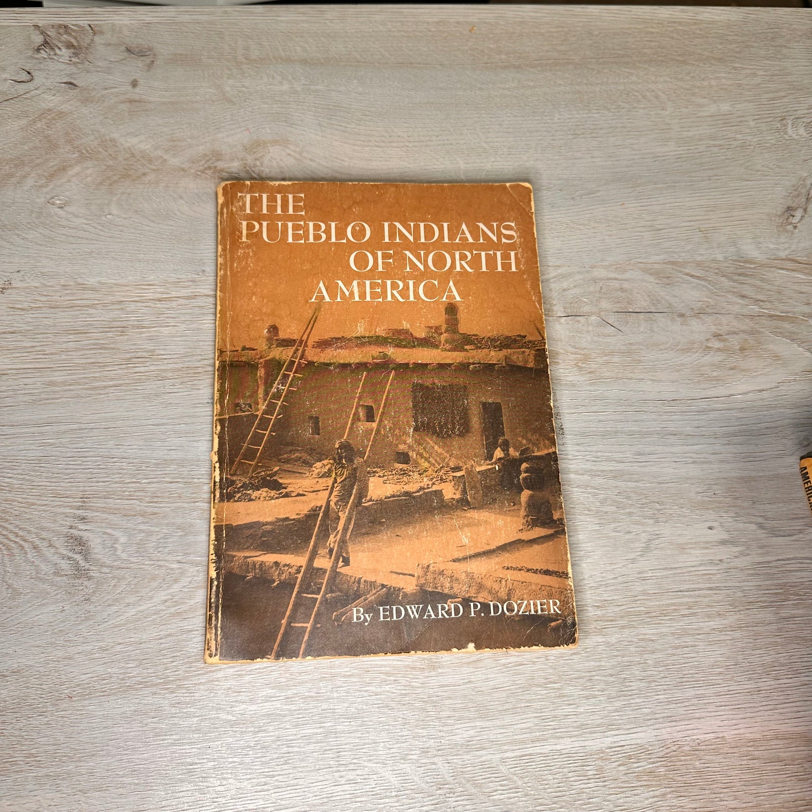The Pueblo Indians of North America