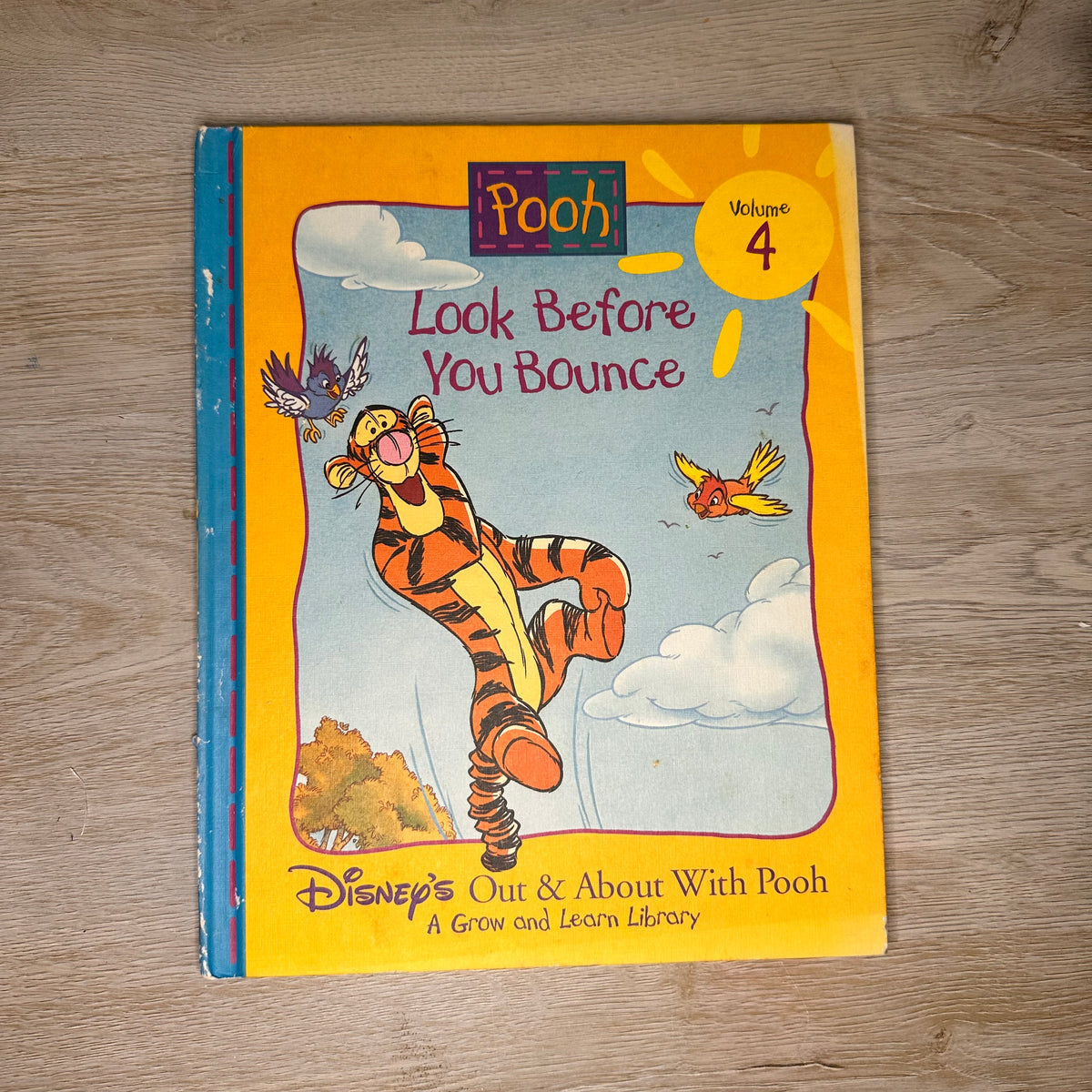 Disney's Out & About With Pooh