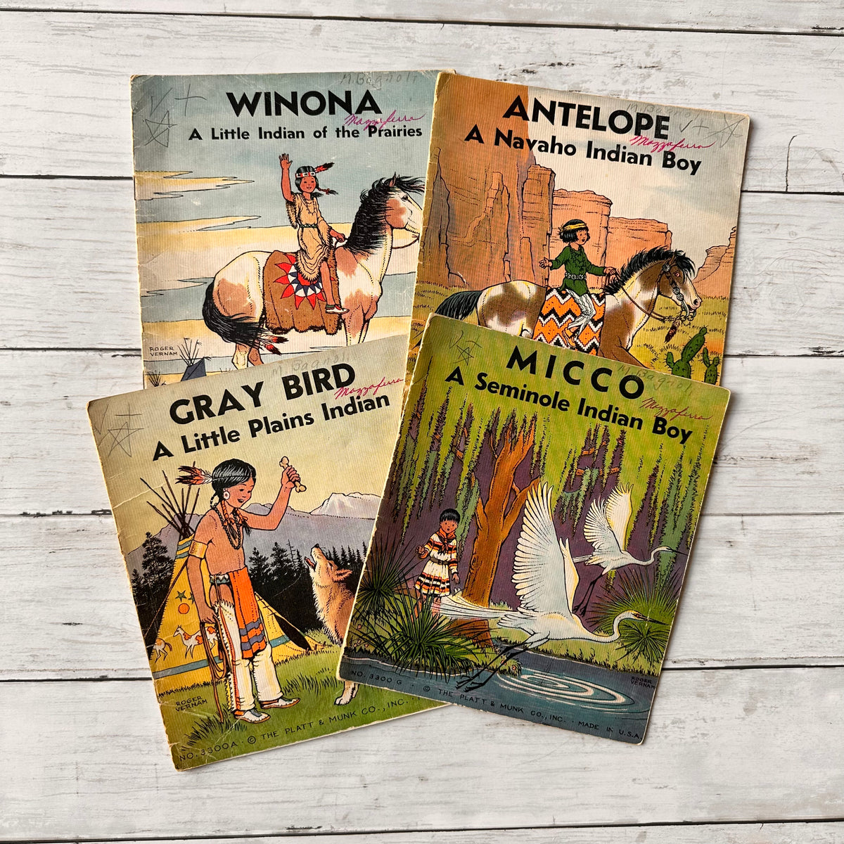 My Indian Tale Library books