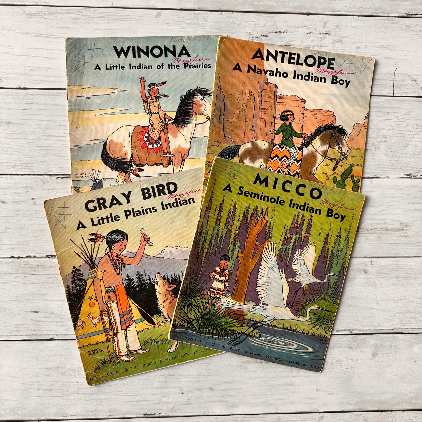 My Indian Tale Library books