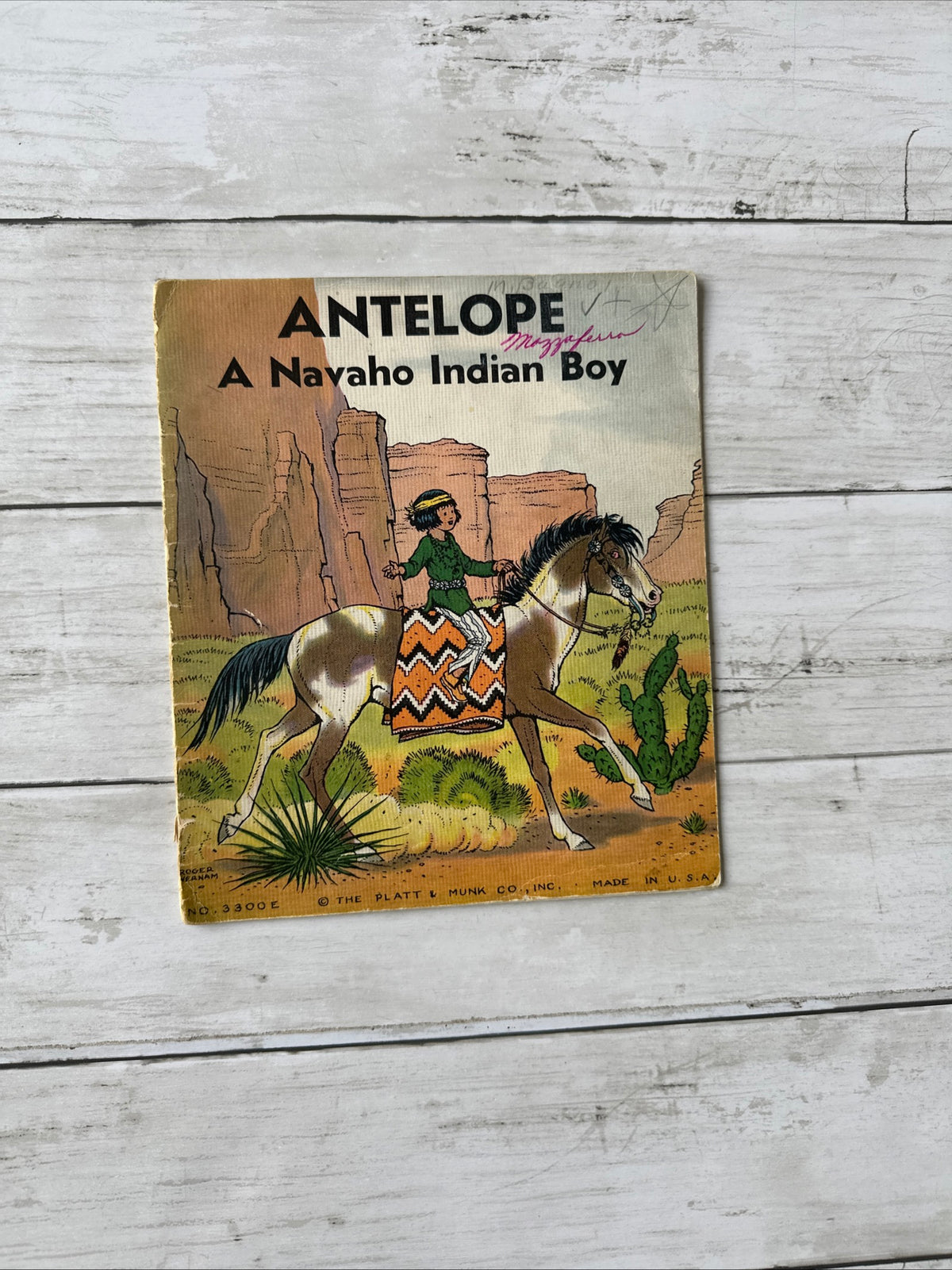 My Indian Tale Library books