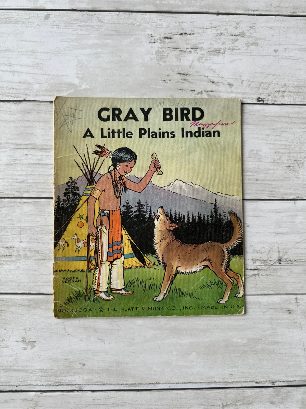 My Indian Tale Library books