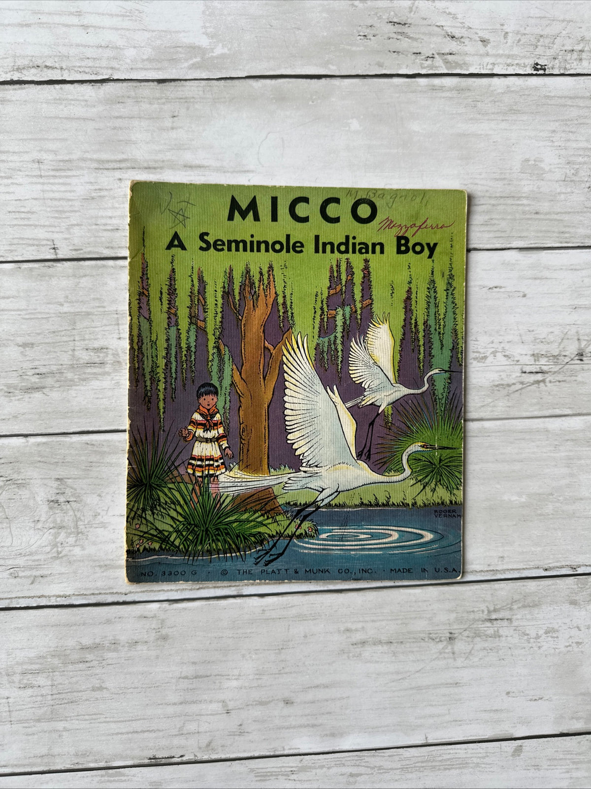 My Indian Tale Library books