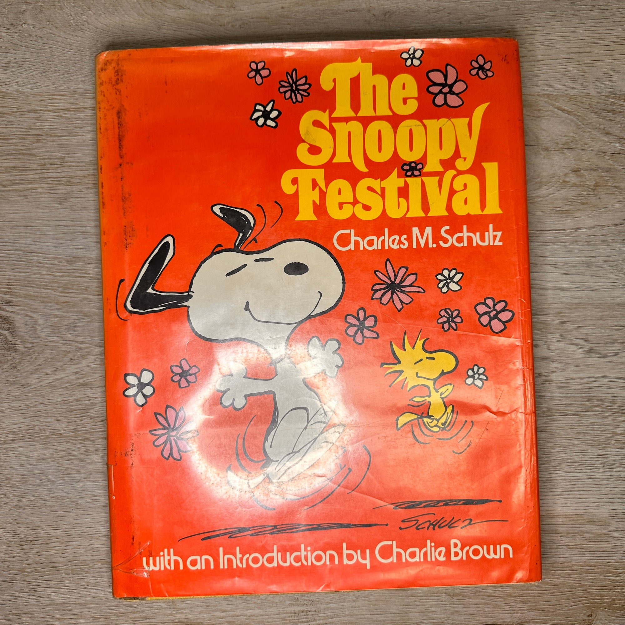The Snoopy Festival