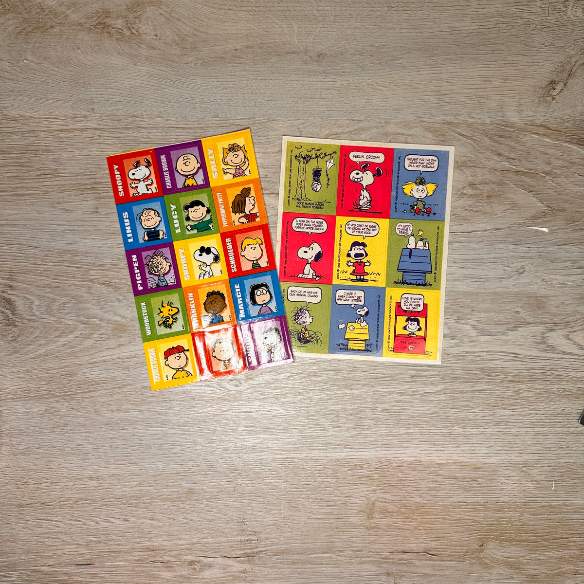 Peanuts Grab Bag - Wednesday, March 12th